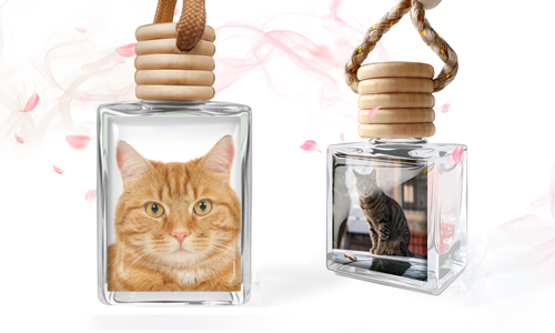 Désodorisant en verre avec photo personnalisée de votre chat