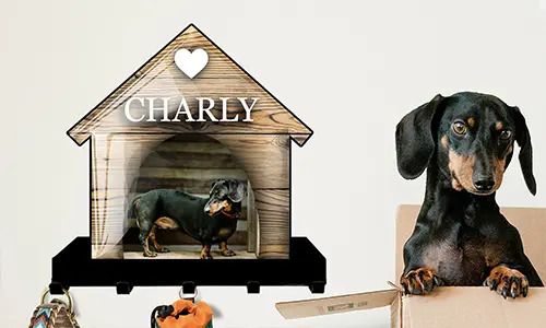 Galerie Schlüsselhalter Wand Katze Hund Haus Design 3