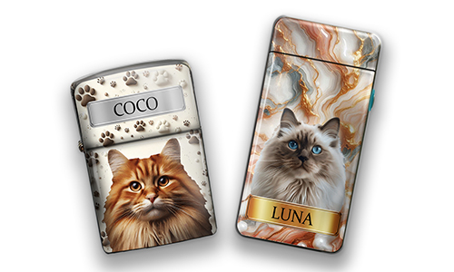 Briquet unique avec photo de ton chat et son surnom