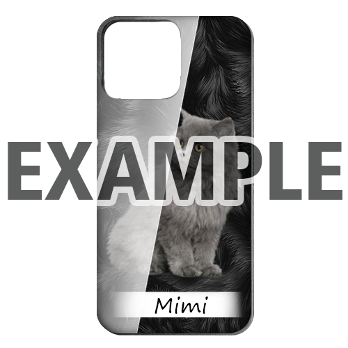 Mobile Case Pet Basic
