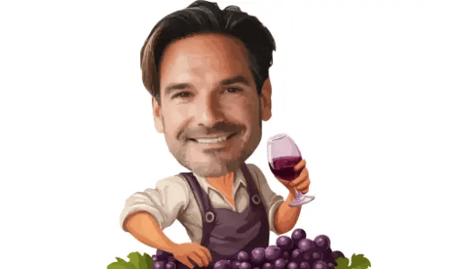 Drie auto-notitieboekomslagen naast elkaar: Blauw-zilveren auto met hartslag, Blauwe sportauto met bewegingslijnen, Rode auto met FAST CARS citaat