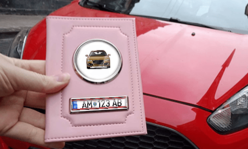 Pink Car Documents Holder