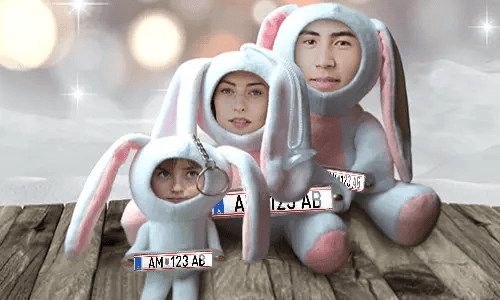 Car Photo Stuff Toy Bunny