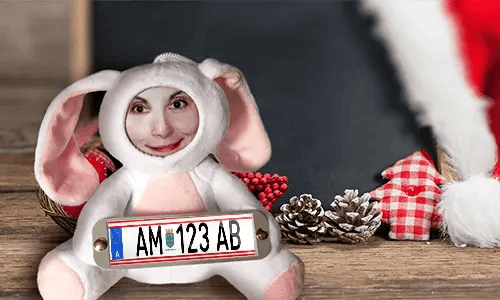 Cuddly toy with photo with license plate as a gift